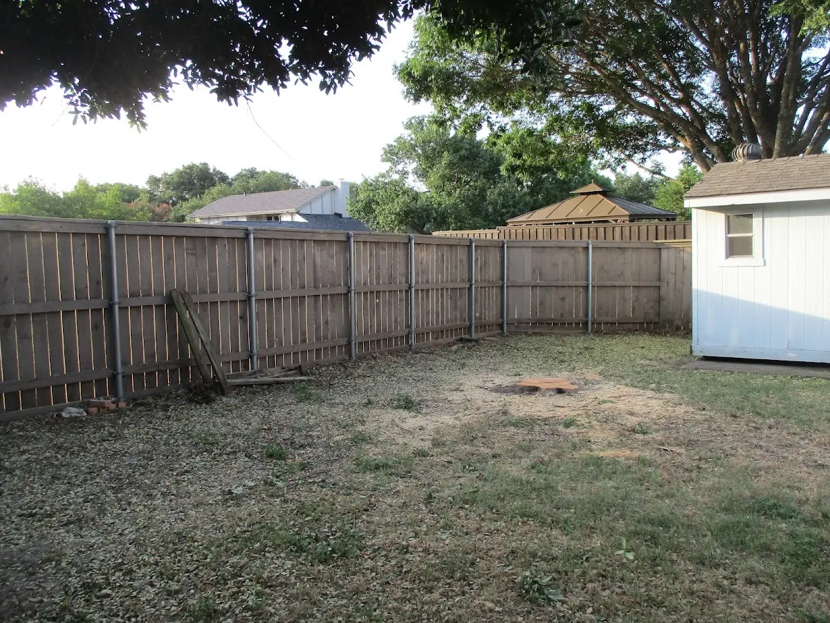 Cleared yard after professional tree removal in Woods Hole